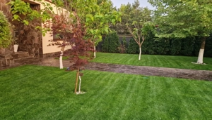 Fundulea   Vila 185 mp cu teren 4000 mp, potential dezvoltare imobiliara - imagine 4