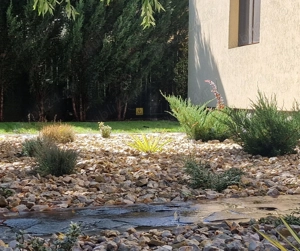 Fundulea   Vila 185 mp cu teren 4000 mp, potential dezvoltare imobiliara - imagine 6