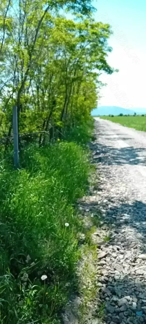 Balastiera autorizată 