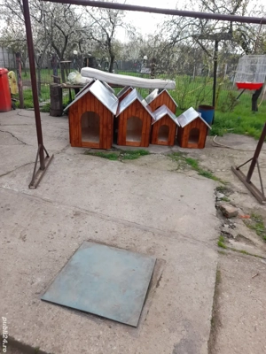 custi caini - imagine 3