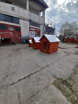 custi caini - imagine 4