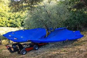 Utilaj autopropulsat cu umbrelă colectoare recoltat alune nuci migdale