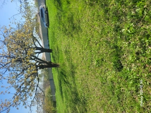 Teren de vinzare 3600mp 