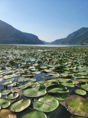 Vand teren intravilan pe malul Dunarii , in Clisura Dunarii zona Svinita - Berzasca - imagine 4