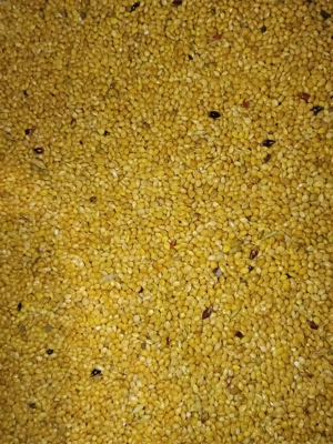 vand mei seminte - imagine 2