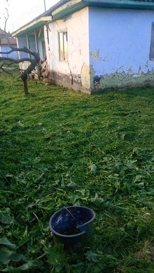 Casă nelocuibila cu teren Sculeni! - imagine 6