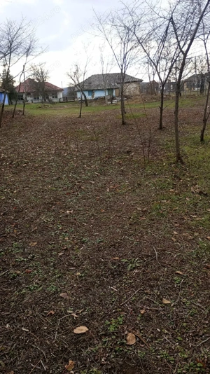 Casă nelocuibila cu teren Sculeni! - imagine 2