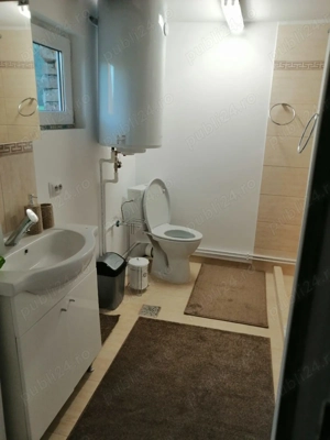 Vand Casa la tara cu 5 Ha de teren in jud Hunedoara - imagine 4