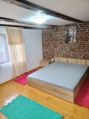 Vand Casa la tara cu 5 Ha de teren in jud Hunedoara - imagine 5