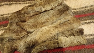 haina de blana de iepure