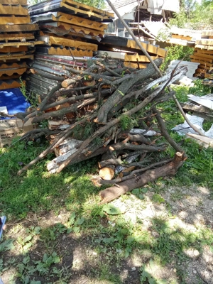 taiam lemne pentru foc drujbar de meserie 