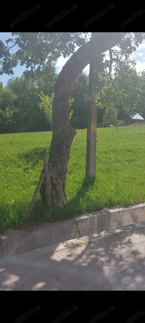 Teren de vanzare - imagine 3