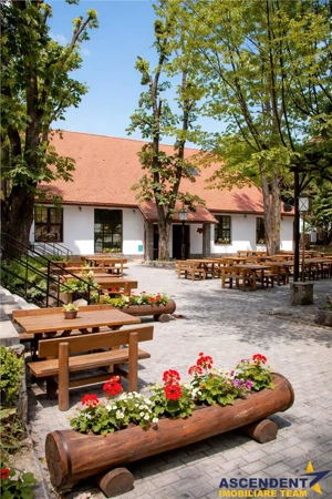 Complex Gastronomic:Afacere la cheie, Restaurant traditional secuiesc+teresa evenimente+carmangerie+ - imagine 14