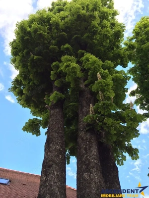 Complex Gastronomic:Afacere la cheie, Restaurant traditional secuiesc+teresa evenimente+carmangerie+ - imagine 15