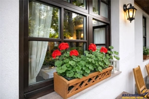 Complex Gastronomic:Afacere la cheie, Restaurant traditional secuiesc+teresa evenimente+carmangerie+ - imagine 20