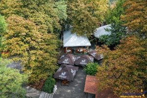 Complex Gastronomic:Afacere la cheie, Restaurant traditional secuiesc+teresa evenimente+carmangerie+ - imagine 18