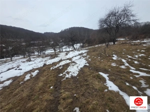 Teren 1812 mp, intravilan , Sovata, jud, Mures - imagine 4