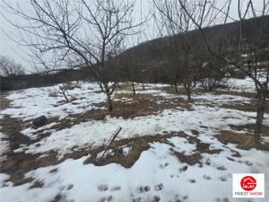 Teren 1812 mp, intravilan , Sovata, jud, Mures - imagine 5