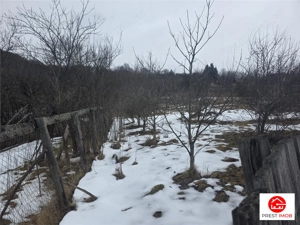 Teren 1812 mp, intravilan , Sovata, jud, Mures - imagine 13