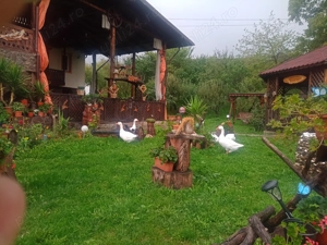 Închiriez Salon Plus bucătărie și cazare la un grup pentru sărbătorile Pascale  - imagine 4