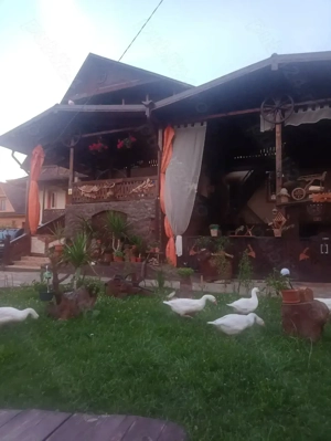 Închiriez Salon Plus bucătărie și cazare la un grup pentru sărbătorile Pascale  - imagine 3