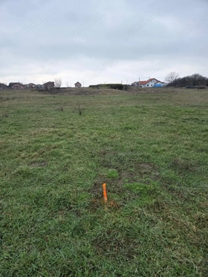 PROPRIETAR.vand parcela,la Sacalaz - imagine 7