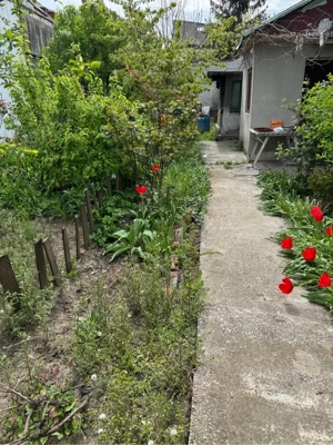 Teren de vânzare Băneasa   Dobrogeanu Gherea   Intrarea Ruginita   610 mp   zonă exclusivistă - imagine 4