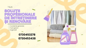 Servicii de curatenie la domiciliu bucuresti, ilfov, renovare, tuns gazon