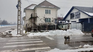 Casă de vânzare 95000 euro  - imagine 9