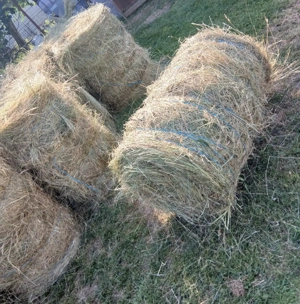    Baloți rotunzi  - imagine 2