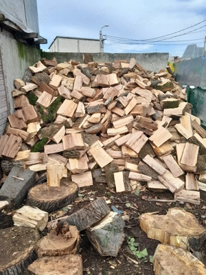 lemne de foc  - imagine 5