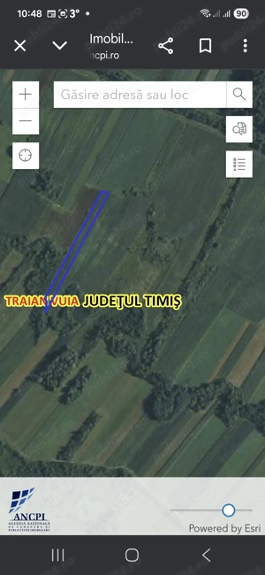 Vand 2.32 ha teren agricol compact Traian Vuia -Jupani, aproape de rau 18500 euro  - imagine 2