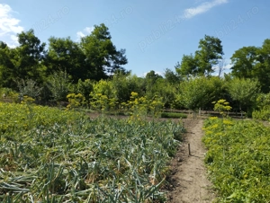 Casa de vânzare  - imagine 6