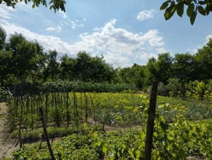 Casa de vânzare  - imagine 7