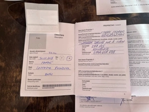 vand labrador retriever cu pedigree autentic 10 lei  - imagine 4