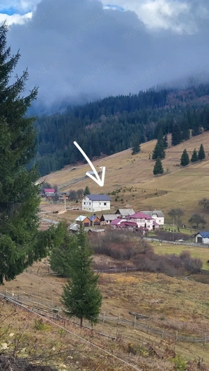 Casa de vanzare la rosu in Dorna Candrenilor