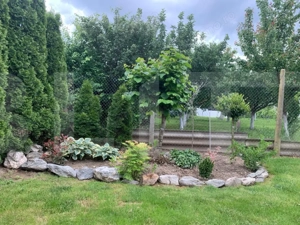 Vilă Premium pe Parter | Chișoda | 471 mp Teren | Garaj 50 mp