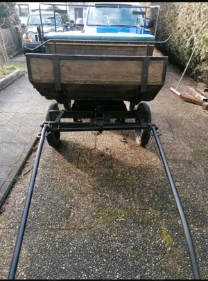 Trăsură  Caleașcă - imagine 2