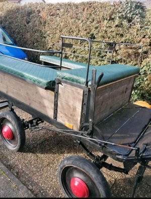 Trăsură  Caleașcă - imagine 3