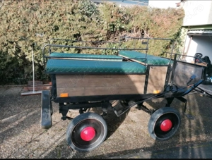 Trăsură  Caleașcă - imagine 4