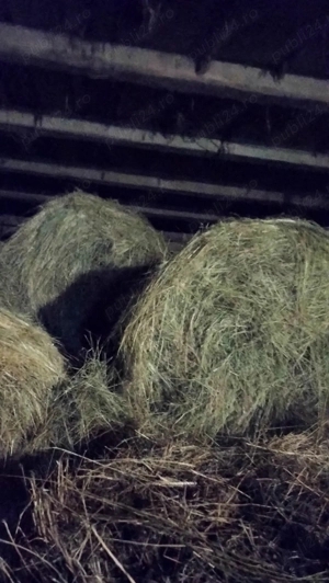 Vând baloți de fân