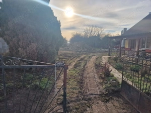 Teren de Vanzare Comuna Apateu Va Rog Sa Luati Legatura Pe WhatsApp   - imagine 4