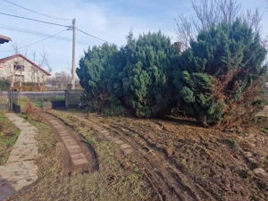 Teren de Vanzare Comuna Apateu Va Rog Sa Luati Legatura Pe WhatsApp   - imagine 5