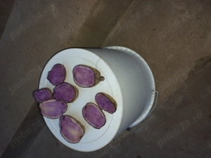 Vand cartofi samanta mov