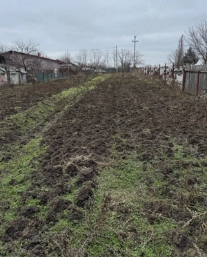 1000mp Padurisu-Frumusani, liber, utilitati, ingradit, teren intravilan - imagine 4