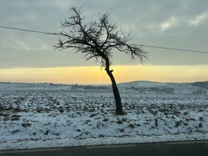 Tanar, caut doua fete pentru aventura vietii