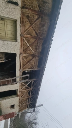 Fan de vânzare anul 2025 de calitate  - imagine 4