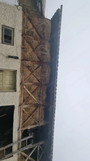 Fan de vânzare anul 2025 de calitate  - imagine 2