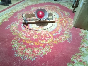 lămpi încălzire pui  - imagine 2