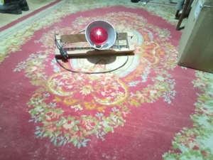 vind lămpi încălzire pui 